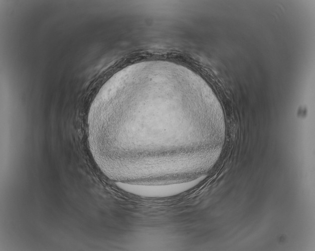 X0000094361253200711301417