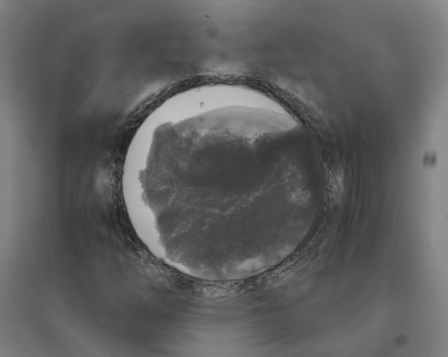 X0000094361254200711301417