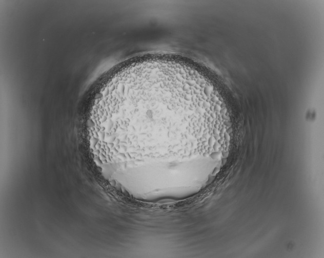 X0000094361255200711301417