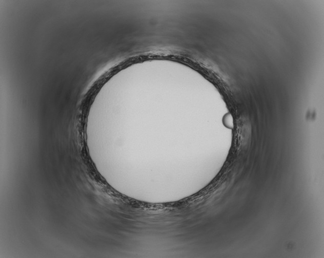 X0000094361256200711301417