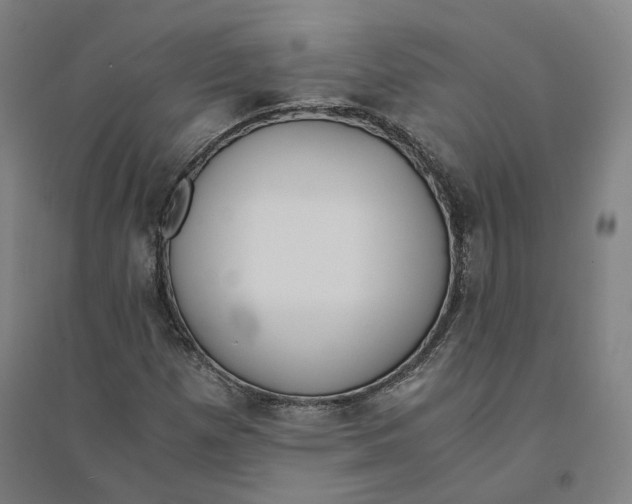 X0000094361257200711301417