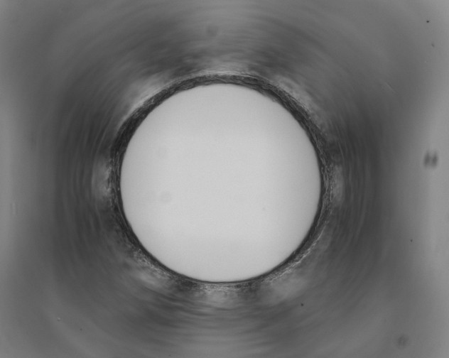 X0000094361258200711301417