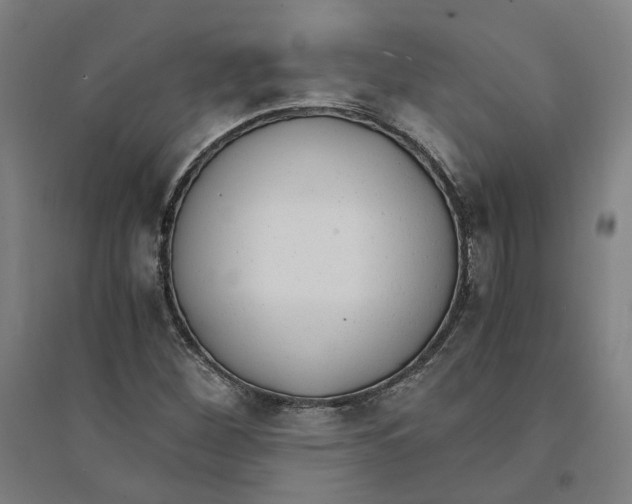 X0000094361260200711301417