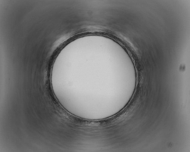 X0000094361261200711301417