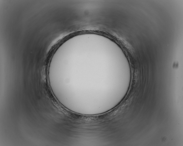 X0000094361262200711301417