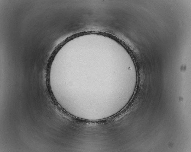 X0000094361264200711301417