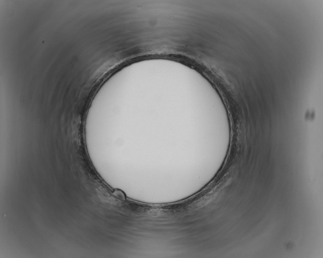 X0000094361265200711301417
