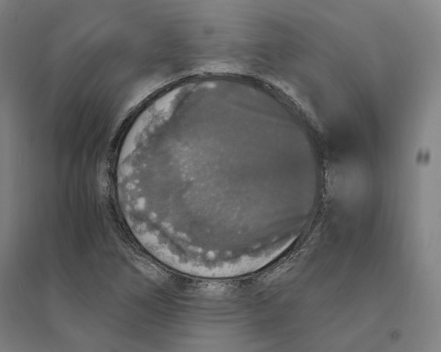 X0000094361266200711301417