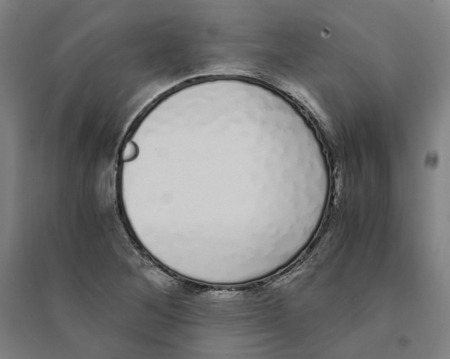 X0000094361268200711301417