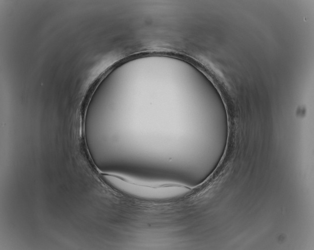 X0000094361269200711301417