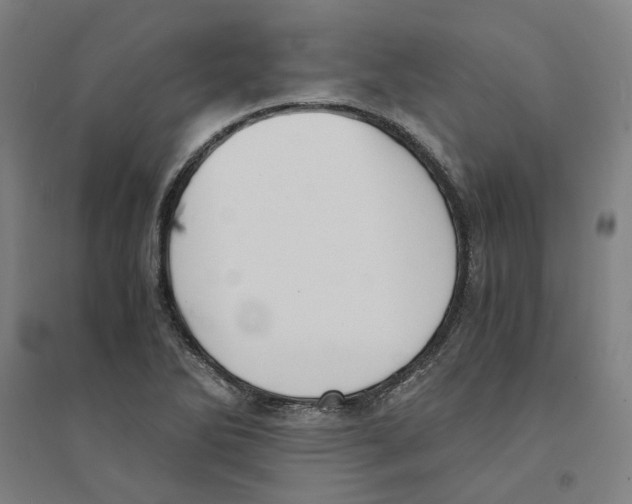 X0000094361270200711301417