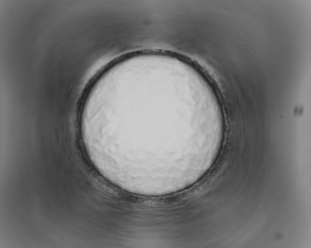 X0000094361271200711301417