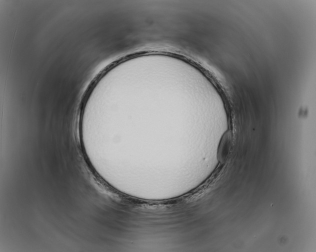 X0000094361272200711301417