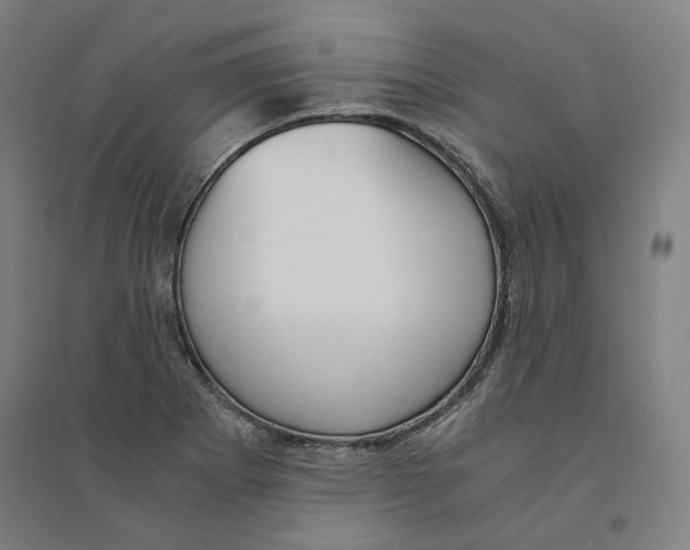 X0000094361273200711301417
