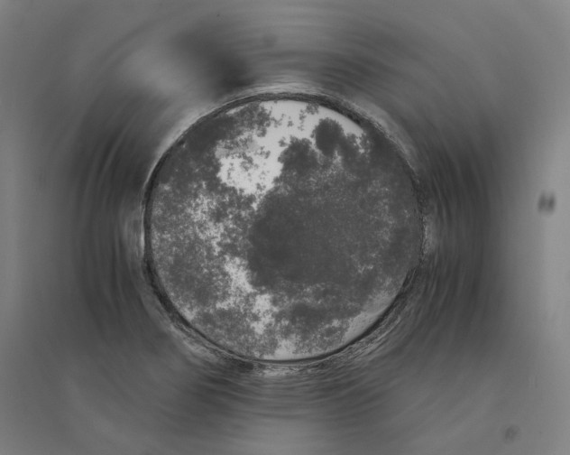 X0000094361274200711301417