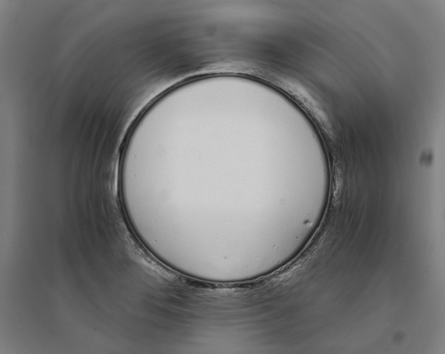 X0000094361276200711301417