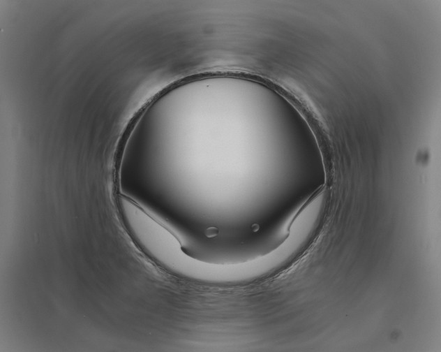 X0000094361277200711301417