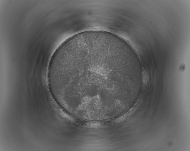 X0000094361278200711301416