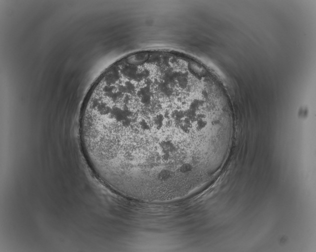 X0000094361279200711301416
