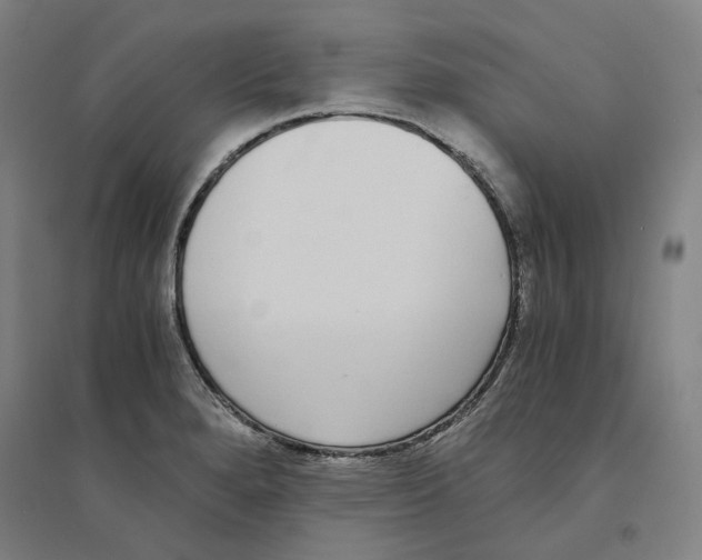 X0000094361280200711301416