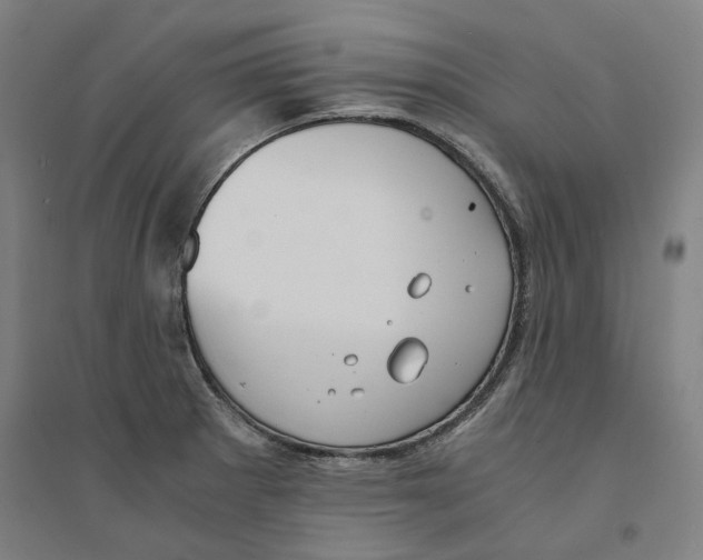 X0000094361281200711301416