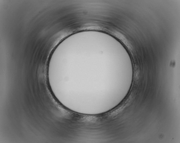 X0000094361282200711301416
