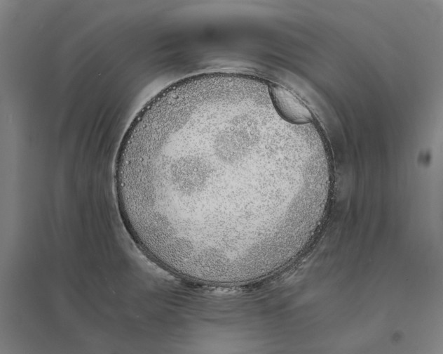 X0000094361283200711301416