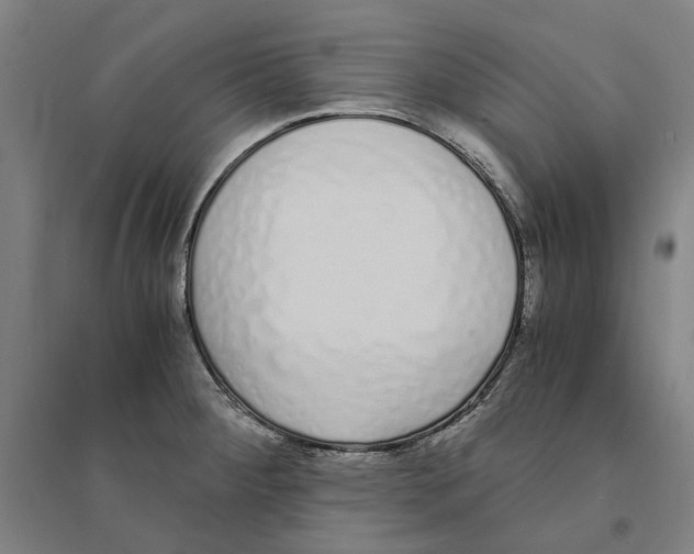X0000094361284200711301416