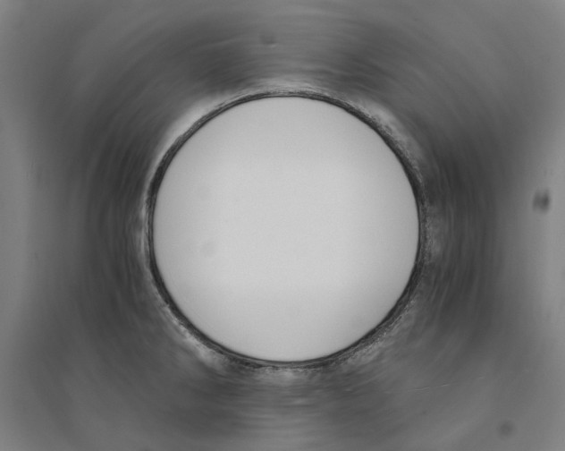 X0000094361286200711301416