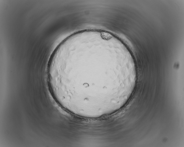 X0000094361287200711301416