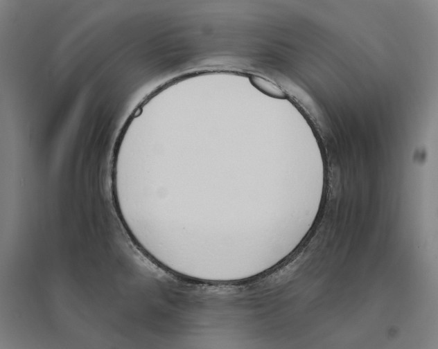 X0000094361288200711301416