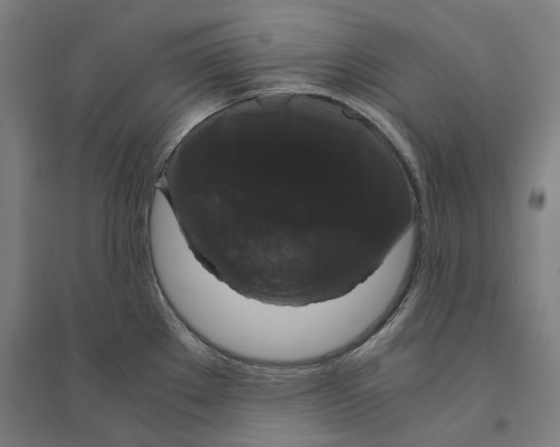 X0000094361289200711301416