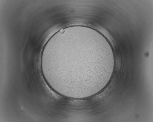 X0000094361290200711301416