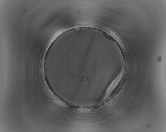 X0000094361291200711301416