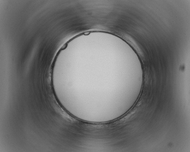 X0000094361292200711301416
