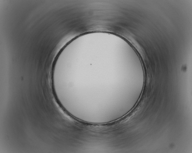 X0000094361293200711301416