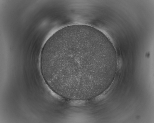X0000094361294200711301416