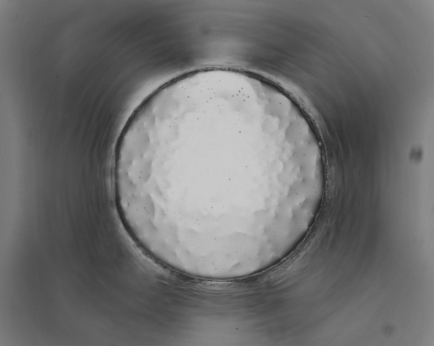 X0000094361295200711301416