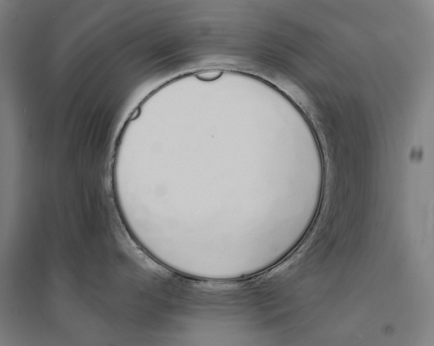 X0000094361296200711301416