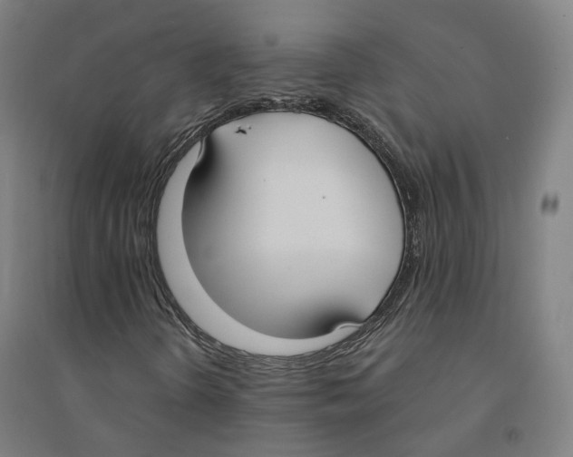 X0000094361298200711301415