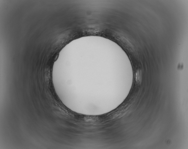 X0000094361299200711301415
