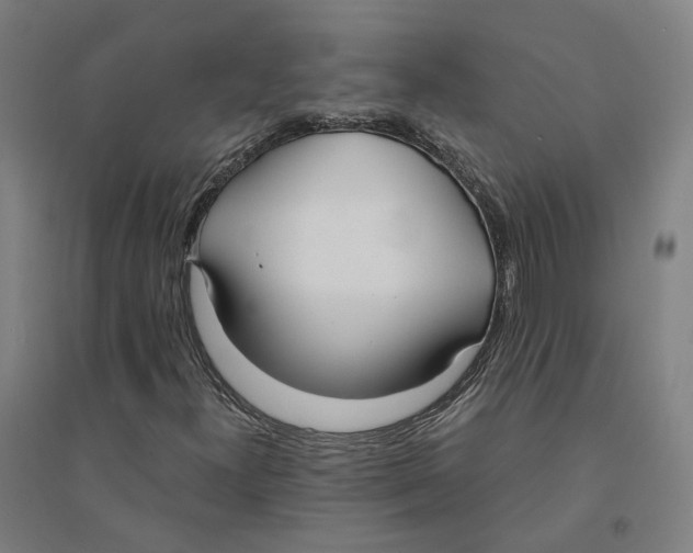 X0000094361300200711301415