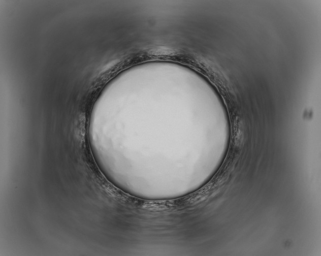X0000094361301200711301415