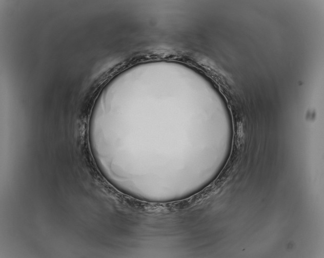 X0000094361302200711301415
