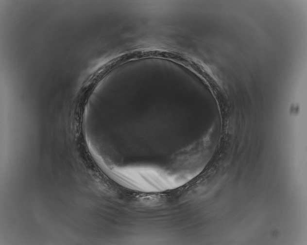X0000094361303200711301415