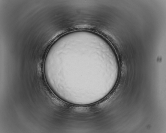 X0000094361305200711301416