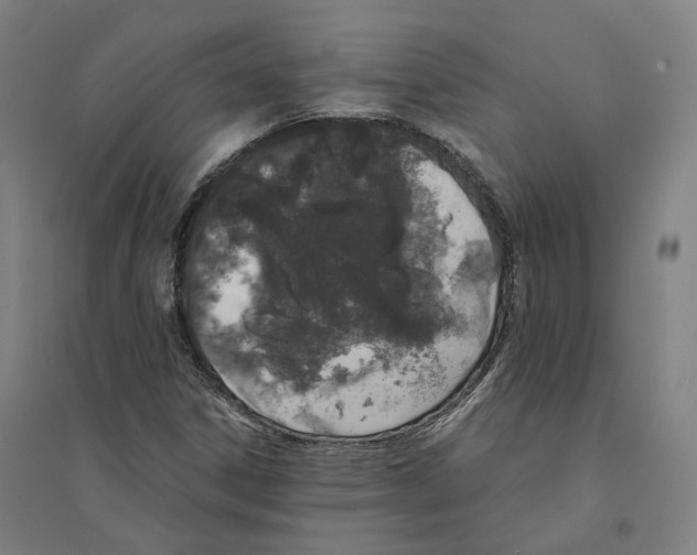 X0000094361306200711301416