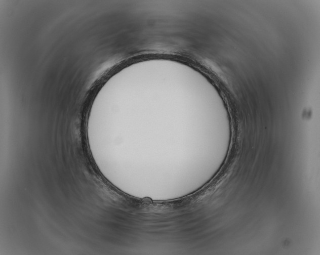X0000094361307200711301416