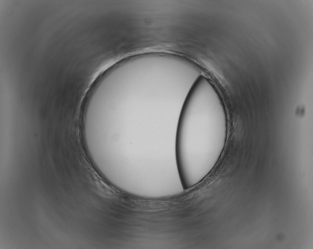 X0000094361308200711301416