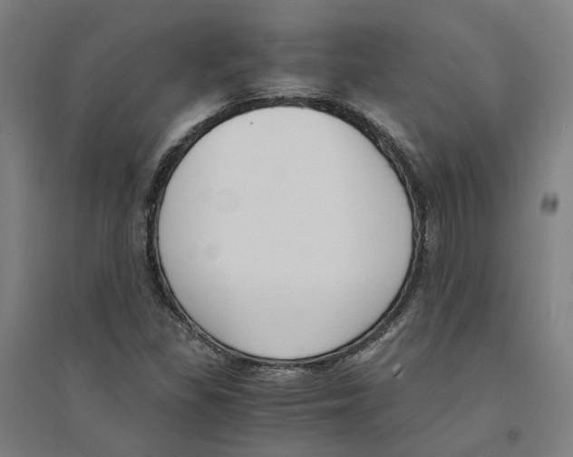 X0000094361309200711301416